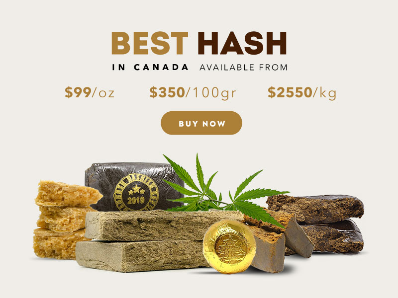 The Price of Hash in Canada A Comprehensive Breakdown Eden Goods