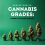 cannabis grade system