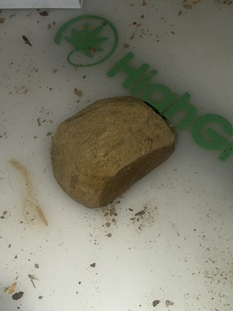 Image #1 from Donovan Perro