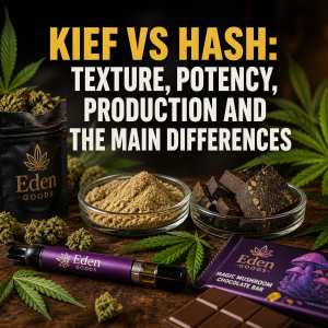 Kief vs Hash: Texture, Potency, Production and the Main Differences