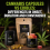 Cannabis Capsules vs Edibles: Differences in Onset, Duration and Convenience