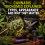 Cannabis Trichomes Explained: Types, Appearance and Why They Matter