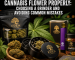 How to Grind Cannabis Flower Properly: Choosing a Grinder and Avoiding Common Mistakes