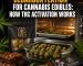 Decarboxylation for Cannabis Edibles: How THC Activation Works
